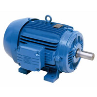 WEG W21 High Efficency WEG W21 High Efficency