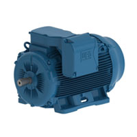 WEG Metric Motor WEG Metric Motor