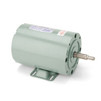 Leeson Milk Transfer Pump Motor Leeson Milk Transfer Pump Motor