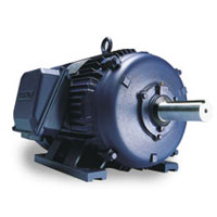 Leeson Industrial Motor Leeson Industrial Motor
