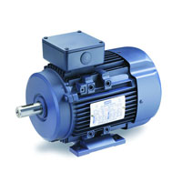 Leeson Metric Motor Leeson Metric Motor