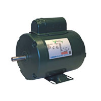 Leeson Eco Ag motor Leeson Eco Ag motor